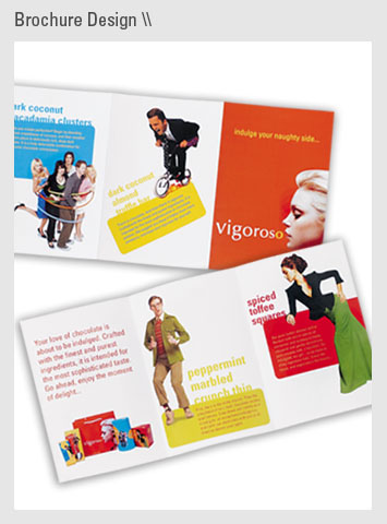 Vigoroso brochure